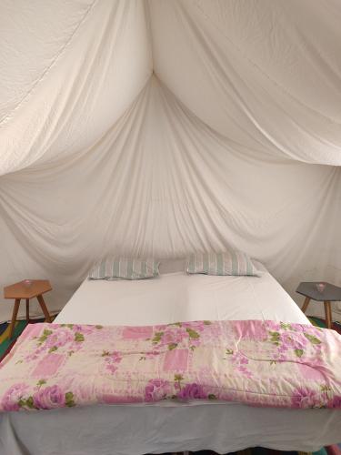 Gallery image of Campement Sahara Oasis Douz in Douz