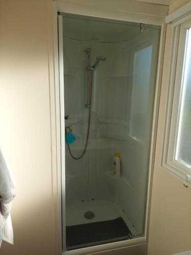 a shower with a glass door in a bathroom at Cantinho da Rosa in Pataias