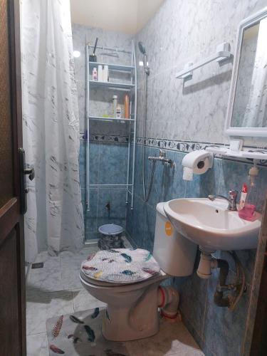 a bathroom with a shower and a toilet and a sink at Honey house in Marrakesh
