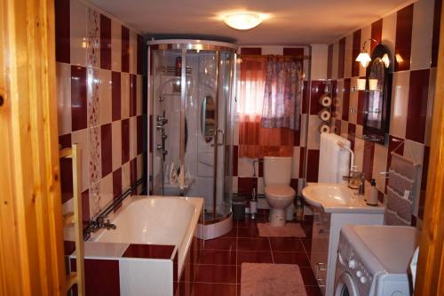 a bathroom with a tub and a sink and a toilet at Casa Bunicilor in Moldoviţa