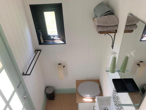 a small bathroom with a toilet and a window at Apple Orchard Shepherd Huts in Staple Cross
