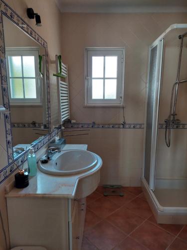 a bathroom with a sink and a shower at Villa Atlantico in Aljezur