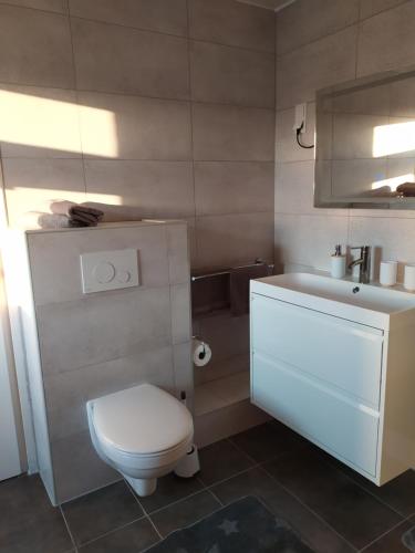 a bathroom with a white toilet and a sink at Ferienwohnung Schwerg in Hohnstein