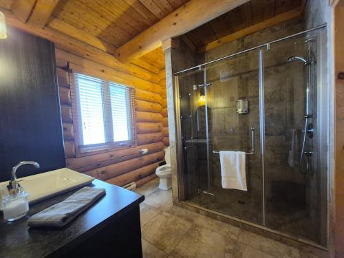 a bathroom with a shower in a log cabin at Le Cormoran in Sainte Brigitte de Laval