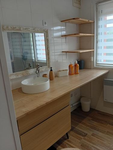 a bathroom counter with a sink and a mirror at Maison de campagne in Capelle-Fermont