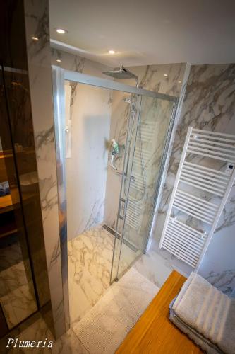 a shower with a glass door in a bathroom at Saint Clair, la plage à pied in Le Lavandou