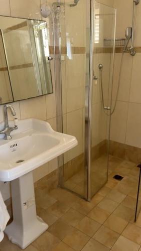 a bathroom with a sink and a shower at נורית בעמק in Gan Yoshiyya