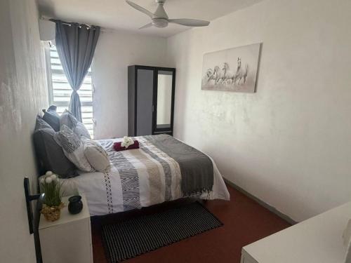 ein Schlafzimmer mit einem Bett, einem Spiegel und einem Deckenventilator in der Unterkunft le Petit Cocon ! in Pointe-à-Pitre