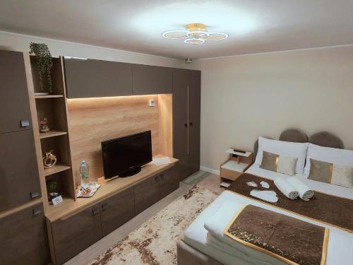 a hotel room with a bed and a television at Delfinului Retreat in Ovidiu