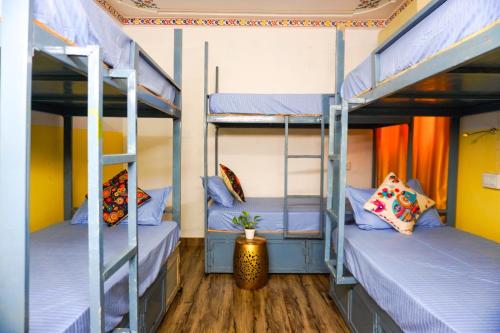 a room with two bunk beds with a potted plant at Old Skool Udaipur - 20 Meter From Lake in Udaipur