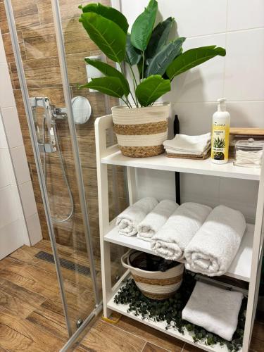 a shelf with towels and a plant in a bathroom at Apartman Vanila Lux Kragujevac in Kragujevac