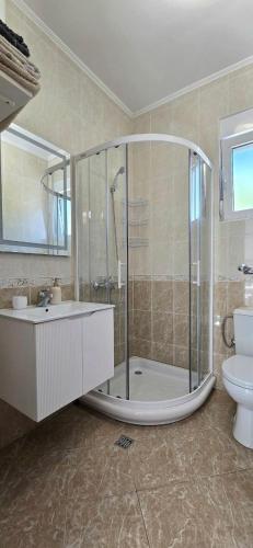 a bathroom with a shower and a sink and a toilet at Kamelija LUX in Đenovići