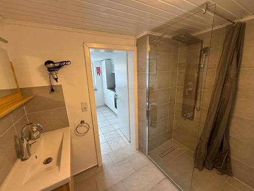 a bathroom with a shower and a sink at Ferienapartment Stemmert in Gelting