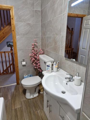 a bathroom with a toilet and a sink and a mirror at Bellmullet, Waterside Townhouse in Belmullet