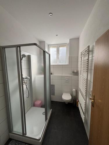 a bathroom with a shower and a toilet at Waldvilla in Bad Schandau
