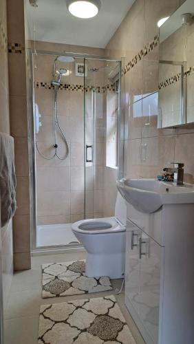 a bathroom with a shower and a toilet and a sink at 9 Suíomh Alainn in Kilgarvan