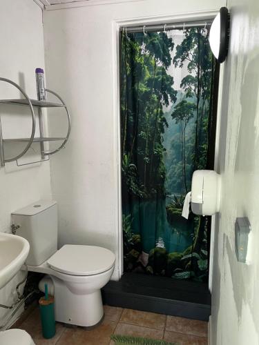 a bathroom with a shower curtain with a toilet at La Kaz Yab in Salazie