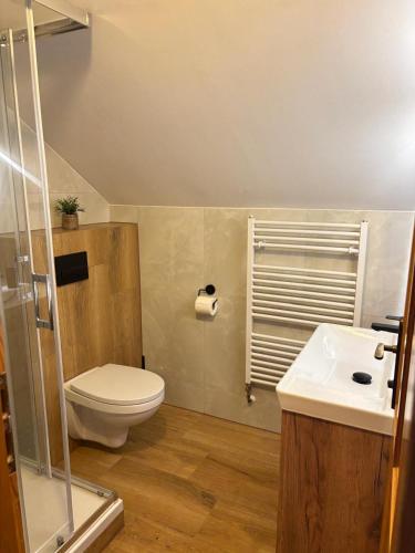 a bathroom with a toilet and a sink at Pension Sima in Harrachov