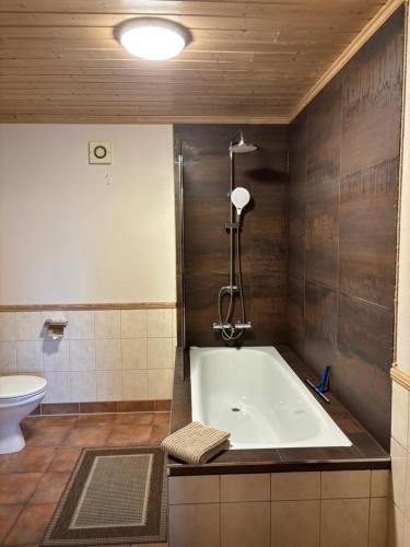ein Badezimmer mit Badewanne und Toilette in der Unterkunft Sandve in Sandve