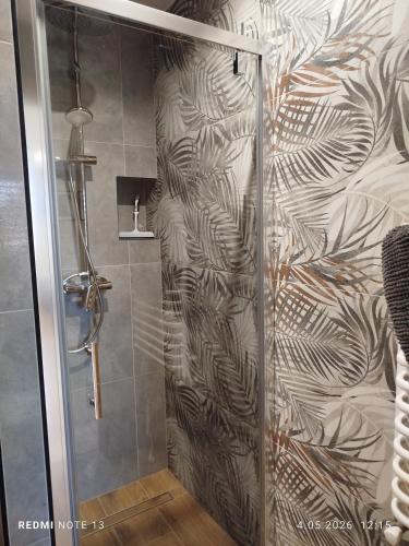 a shower with a glass door in a bathroom at Agroturystyka u Marii in Komańcza