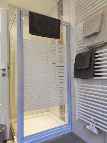 a shower with a glass door in a bathroom at Pier 12 Ferienwohnung in Eckernförde