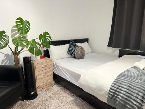 a bedroom with two beds and a plant at Westcliff Cottage in Southend-on-Sea