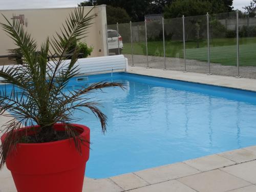 a plant in a red pot next to a swimming pool at Gîte pour 2 personnes le domaine de la roquette près de fécamp à ganzeville in Ganzeville