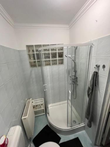 a bathroom with a shower and a toilet at Haraplak in Hajdúszoboszló