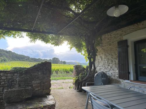 a bench sitting outside of a building with a vineyard at Ecrin au milieu des vignes in Uchaux