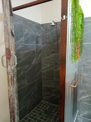 a bathroom with a shower with a glass door at LISANÉ ACCOMMODATION in Middelburg