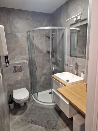 a bathroom with a shower and a toilet and a sink at Zatrzymaj Się in Stronie Śląskie