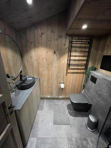 a bathroom with a sink and a toilet and a mirror at Moderne hytte ved sjøen med badstue in Rømskog