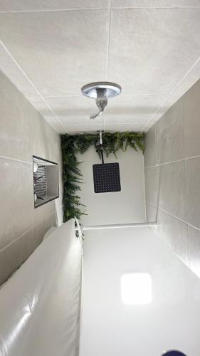 a bathroom with a ceiling with a plant on the wall at Tropical Casita LaVida in Tampa