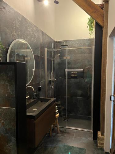 a bathroom with a sink and a shower at B&B De Cootjes in Ossendrecht
