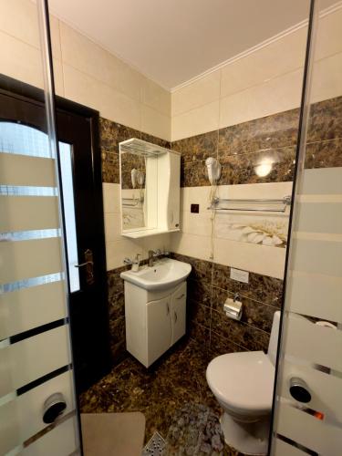 a bathroom with a toilet and a sink at Casa Corlățeni in Pojorâta