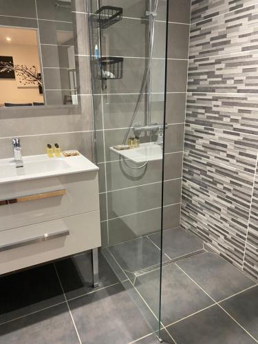 a bathroom with a shower and a sink at Les chambres dhotes de la croix bleue 2 in Murinais