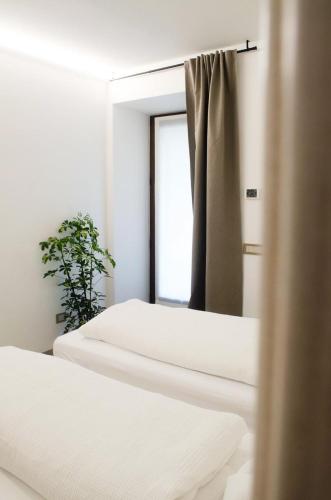 two beds in a room with a mirror and a plant at Casa Vacanze Centrale in Mori