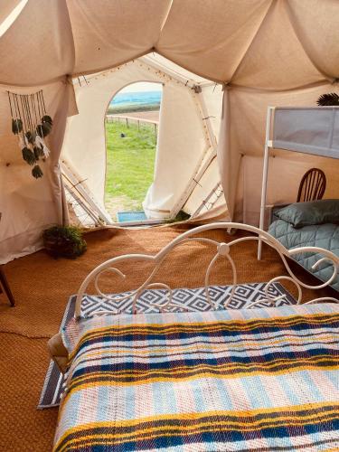 a bed in a tent with a view of a field at Flow Dome at Estuary Escapes in Kingsbridge