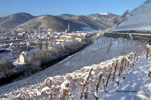 a vineyard covered in snow with a town in the background at Hôtel du Rangen in Thann