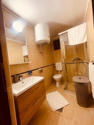 a bathroom with a shower and a sink and a toilet at Guest house Villa Slavica in Sveti Stefan