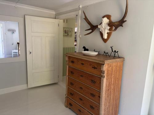 a bathroom with a wooden dresser with antlers on the wall at Hus Bokhultet in Ruda