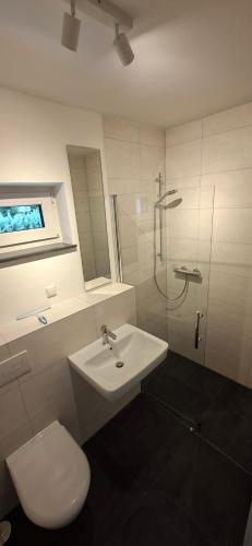 a bathroom with a sink and a toilet and a shower at Apartments Leipziger Neuseenland in Markkleeberg