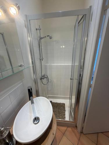 a bathroom with a shower and a white sink at Mc privé in Châtillon-Coligny