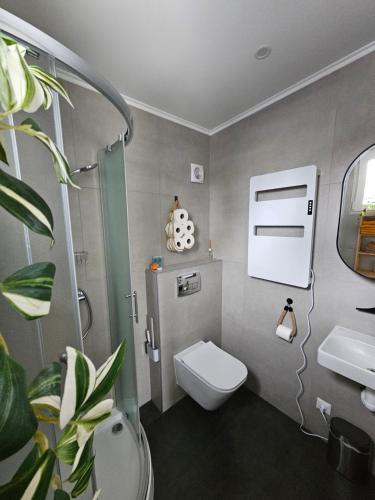 a bathroom with a toilet and a shower and a sink at "Chalet Zanna" privéaccomodatie op park, begaafdzorgtse in Opende