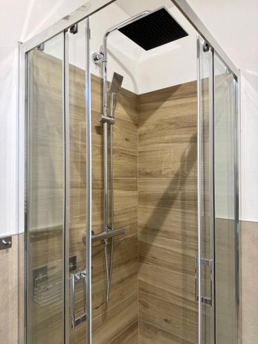 a shower with a glass door and a ceiling at Dolce Vetta Valmalenco in Chiesa in Valmalenco