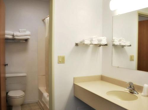 a bathroom with a sink and a toilet and a mirror at Trade winds in Valentine