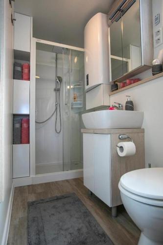 a bathroom with a shower and a sink and a toilet at Floating Sea House Portorose in Portorož