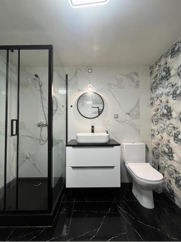 a bathroom with a toilet and a sink and a shower at Szlachcianka in Gorzuchów