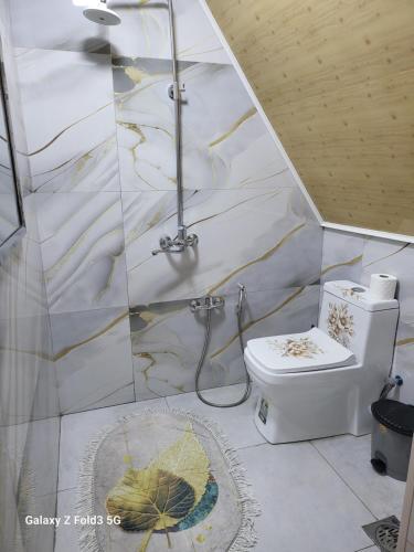 a bathroom with a shower and a toilet at Shabran Pearl A-Frame in Surra