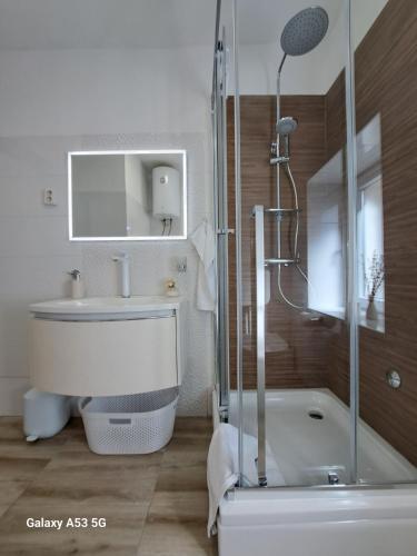 a bathroom with a shower and a toilet and a sink at Kuća Get in Betina